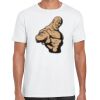 Mens Softstyle Tee Shirt Thumbnail