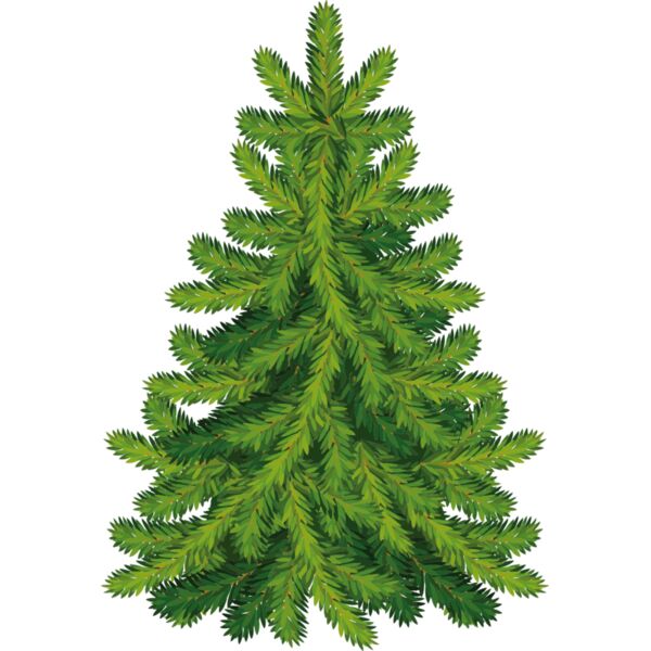 Christmas Trees 006 Thumbnail